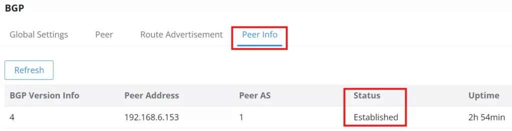 bgp-peer-info - Documentation Center