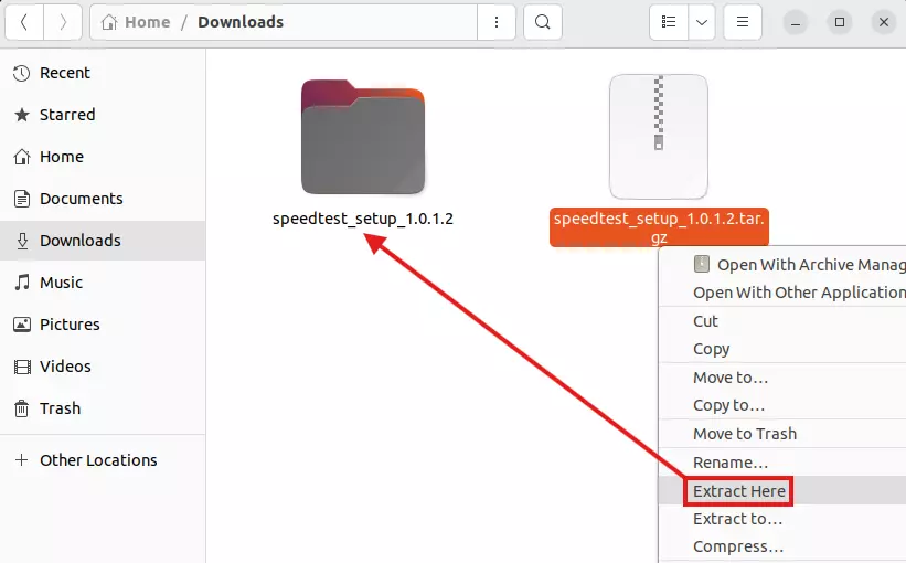 3 download the speedtest file then extract it here i used ubuntu web ui for the guide to be visible but add ubuntu and centos commands too so people can easily copy and paste - Documentation Center