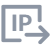 Export IP document (document icon with IP and right-arrow) in a button-style graphic